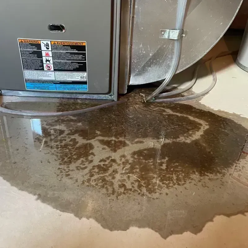 Appliance Leak Cleanup in Bonne Terre, MO